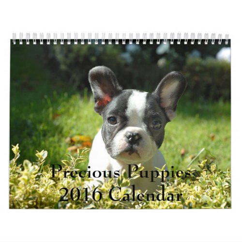 Precious Puppies 2016 Calendar