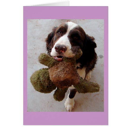Precious Puppy Cards (Front)