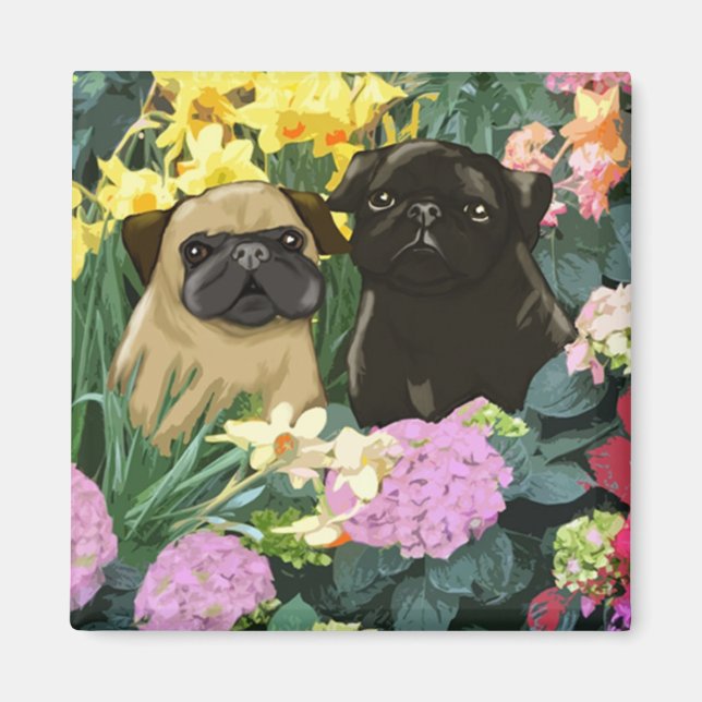Precious Spring Pugs Magnets (Front)