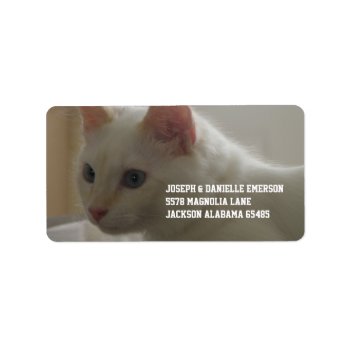 Precious White Kitty Label by KELLBELL535 at Zazzle