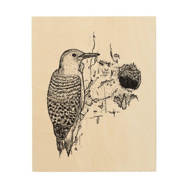 Precision Peck: Hand-Drawn Woodpecker Stipple Art  (Front)