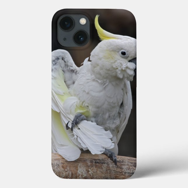 Preening Cockatoo iPad Mini Case (Back)