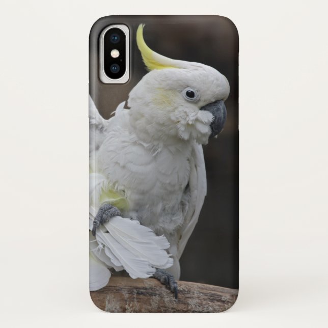Preening Cockatoo iPhone X Case (Back)