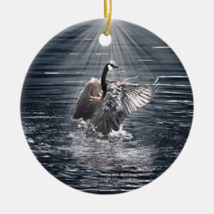 Preening, Flapping Canada Goose Photo Ceramic Ornament