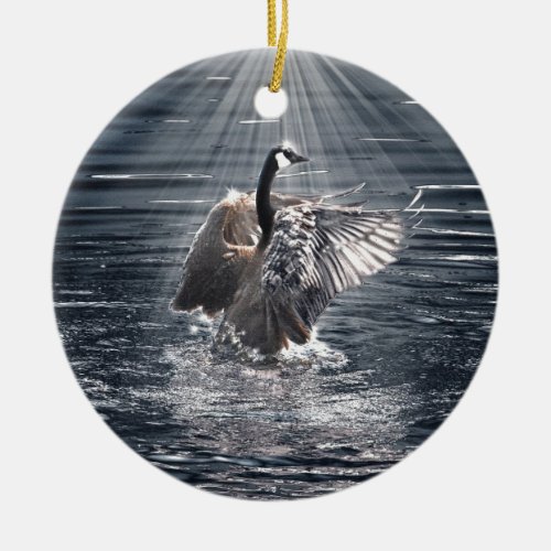 Preening Flapping Wild Canada Goose Design Ceramic Ornament