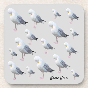 Preening Gull And Name Text On Gray. Coastal Theme Beverage Coaster by Animal_Art_By_Ali at Zazzle