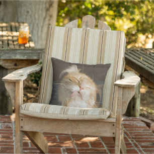 Preening Maine Coon Close Up Photograph Throw Pillow