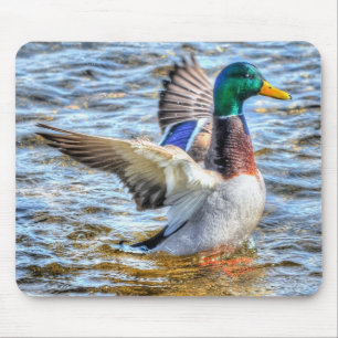 Preening Mallard Duck Birdlover Wildlife Mouse Pad