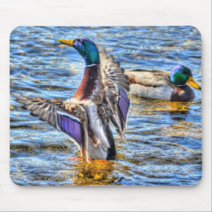 Preening Mallard Duck Birdlover Wildlife Mouse Pad