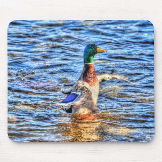 Preening Mallard Duck Birdlover Wildlife Mouse Pad (Front)