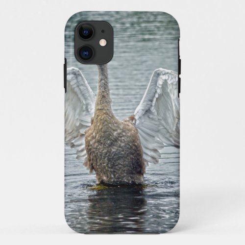 Preening Mute Swan Wildlife Waterfowl Photo iPhone 11 Case