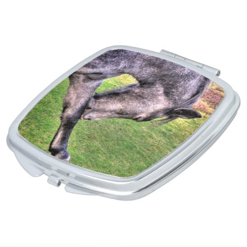 Preening New Forest Pony for Horse_lovers Compact Mirror