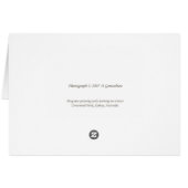 Preening pelicans (Back Horizontal)