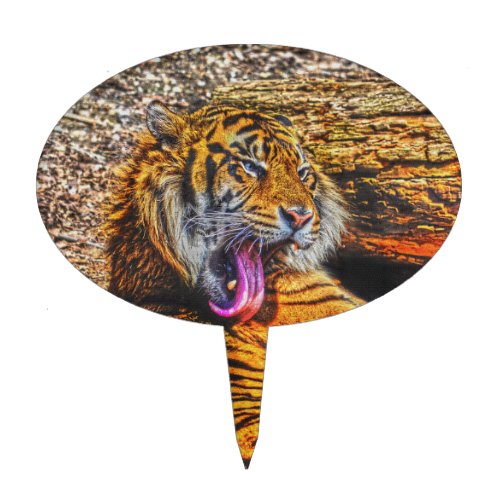 Preening Sumatran Tiger Big Cat Wildlife Art Cake Topper