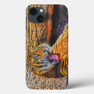 Preening Sumatran Tiger Big Cat Wildlife Art iPhone 13 Case