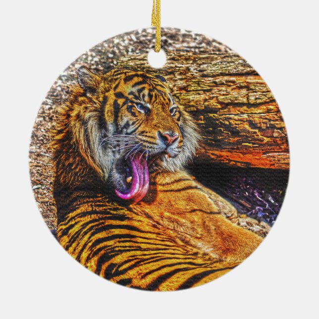 Preening Sumatran Tiger Big Cat Wildlife Art Ceramic Ornament (Back)