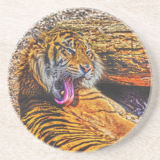 Preening Sumatran Tiger Big Cat Wildlife Art Drink Coaster (Front)