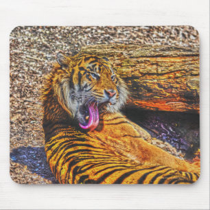 Preening Sumatran Tiger Big Cat Wildlife Art Mouse Pad