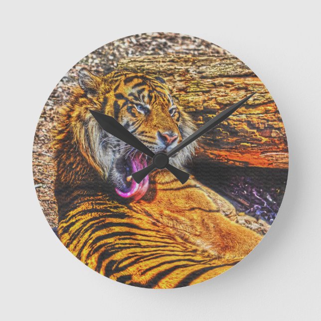 Preening Sumatran Tiger Big Cat Wildlife Art Round Clock (Front)