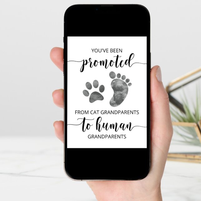 Pregnancy Announcement Card to Cat Grandparents (Front Digital)