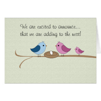 Pregnancy Announcement Filling the Nest