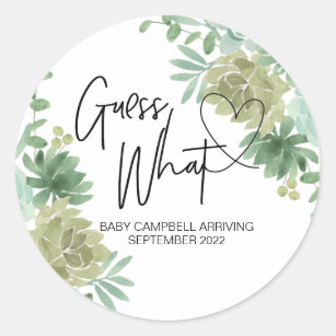 Pregnancy Announcement Guess What Baby Succulents Classic Round Sticker
