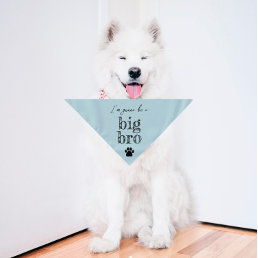 Pregnancy Announcement Pet Bandana | Big Bro Blue