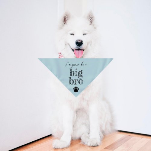 Pregnancy Announcement Pet Bandana  Big Bro Blue