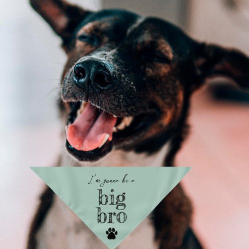 Pregnancy Announcement Pet Bandana  Big Bro Mint