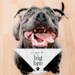 Pregnancy Announcement Pet Bandana | Big Bro White<br><div class="desc">Small or large,  this pet bandana can be used for dogs or cats. Minimal,  modern,  and customizable with your pet's name. 
What's cuter than announcing a pregnancy than with your fur child 🥰
All text is customizable ↣ just click the ‘Personalize’ button.</div>