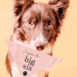 Pregnancy Announcement Pet Bandana | Big Sis Pink<br><div class="desc">Small or large,  this pet bandana can be used for dogs or cats. Minimal,  modern,  and customizable with your pet's name. 
What's cuter than announcing a pregnancy than with your fur child 🥰
All text is customizable ↣ just click the ‘Personalize’ button.</div>