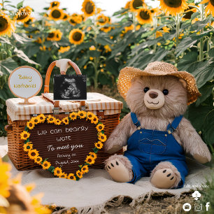 Pregnancy Announcement Sunflower teddy baby reveal