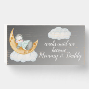 Pregnancy Baby Countdown Penguin White Wooden Box Sign