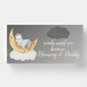 Pregnancy Baby Countdown Penguin Wooden Box Sign