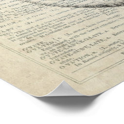 Pregnancy OB/GYN Wall Art | Zazzle