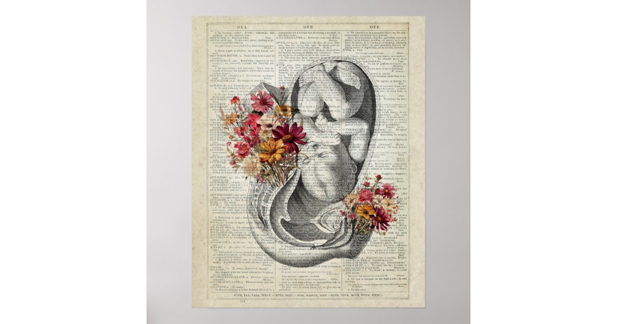 Pregnancy OB/GYN Wall Art | Zazzle