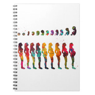 Pregnancy stages notebook
