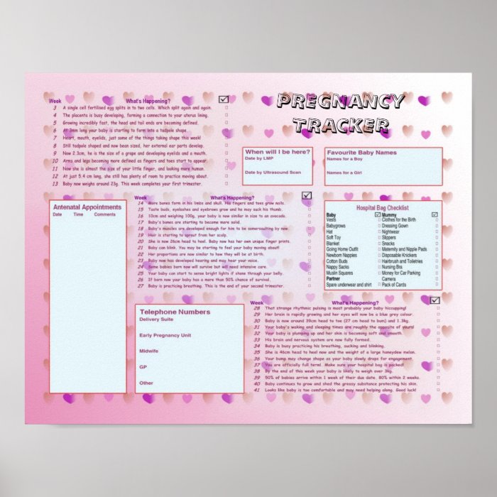 Pregnancy Tracker Poster   Pink