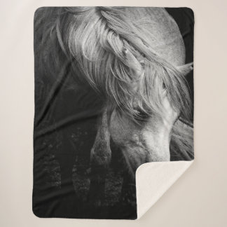 Pregnant Dartmoor Pony Mare portrait Sherpa Blanket