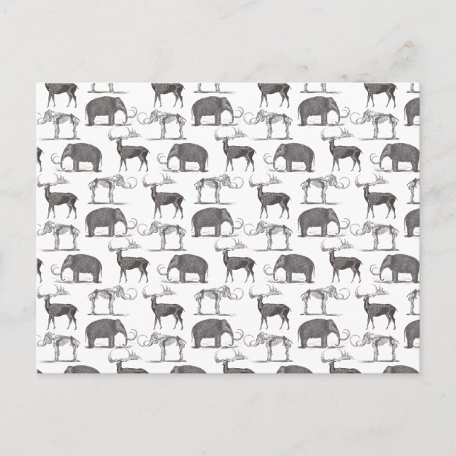 Prehistoric Animals - Woolly Mammoth and Megaceros Postcard (Front)
