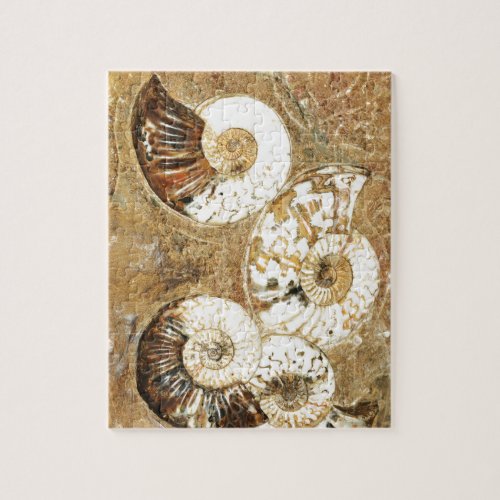 Prehistoric background with fossil shells jigsaw puzzle