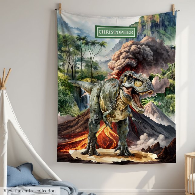Prehistoric Dinosaur Blanket Birthday Gift for Boy (Prehistoric Dinosaur Blanket Birthday Gift for Boys)