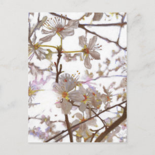 Prelude 2014 postcard