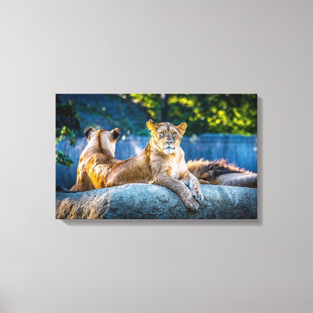Premium Giclee-wrapped canvas Print (Front)