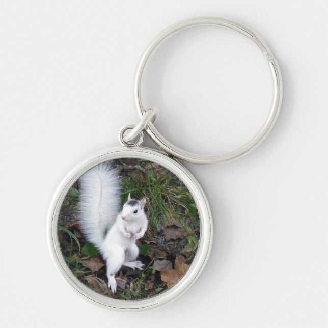 premium key chain - White Squirrel (Front)
