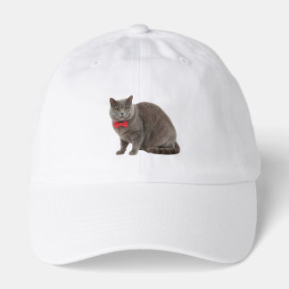 Premium Quality Cat, Hat