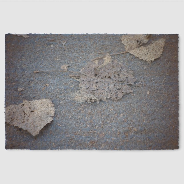 Premium quality coir doormat fiber doormat (Front)