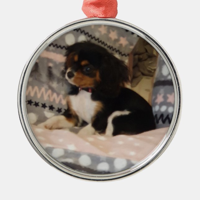 Premium Round Ornament (Front)