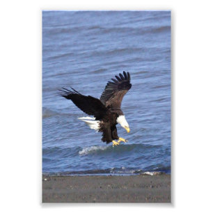 Premium Satin Photo Paper Photo Enlargement