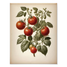 Premium Satin Photo Paper Photo Enlargement